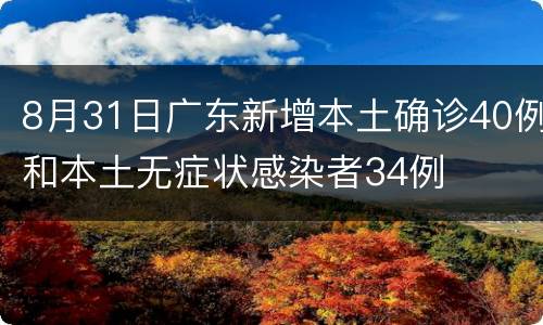 8月31日广东新增本土确诊40例和本土无症状感染者34例