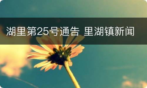 湖里第25号通告 里湖镇新闻