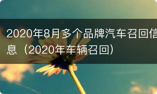 2020年8月多个品牌汽车召回信息（2020年车辆召回）