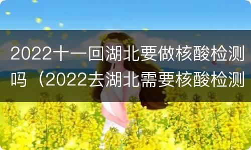 2022十一回湖北要做核酸检测吗（2022去湖北需要核酸检测吗）
