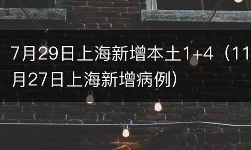 7月29日上海新增本土1+4（11月27日上海新增病例）