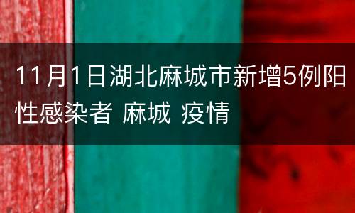11月1日湖北麻城市新增5例阳性感染者 麻城 疫情