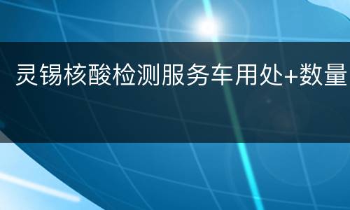 灵锡核酸检测服务车用处+数量