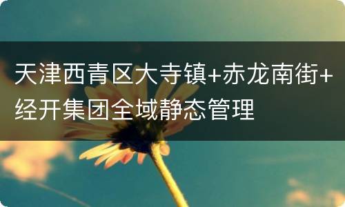 天津西青区大寺镇+赤龙南街+经开集团全域静态管理