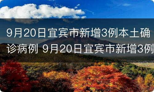 9月20日宜宾市新增3例本土确诊病例 9月20日宜宾市新增3例本土确诊病例有多少