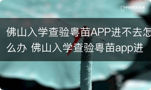 佛山入学查验粤苗APP进不去怎么办 佛山入学查验粤苗app进不去怎么办呀