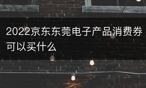 2022京东东莞电子产品消费券可以买什么