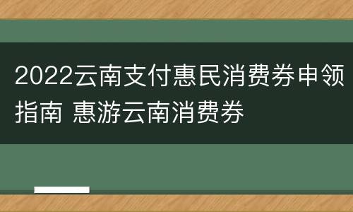 2022云南支付惠民消费券申领指南 惠游云南消费券