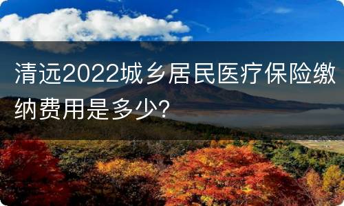 清远2022城乡居民医疗保险缴纳费用是多少？