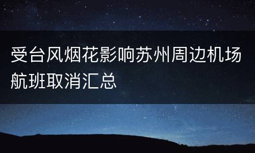 受台风烟花影响苏州周边机场航班取消汇总