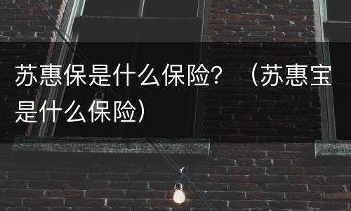 苏惠保是什么保险？（苏惠宝是什么保险）