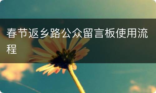 春节返乡路公众留言板使用流程