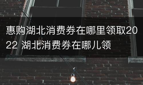 惠购湖北消费券在哪里领取2022 湖北消费券在哪儿领