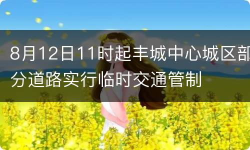 8月12日11时起丰城中心城区部分道路实行临时交通管制