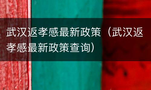 武汉返孝感最新政策（武汉返孝感最新政策查询）