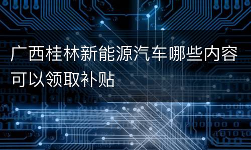 广西桂林新能源汽车哪些内容可以领取补贴