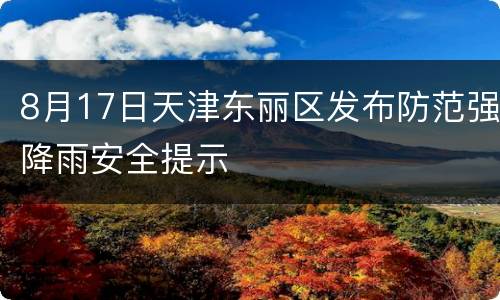 8月17日天津东丽区发布防范强降雨安全提示