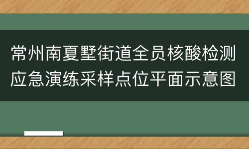 常州南夏墅街道全员核酸检测应急演练采样点位平面示意图