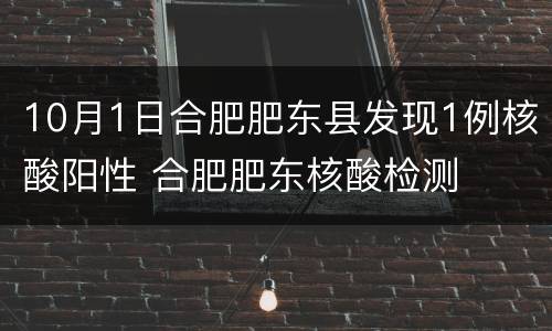 10月1日合肥肥东县发现1例核酸阳性 合肥肥东核酸检测