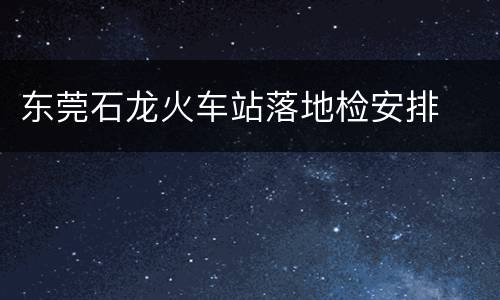 东莞石龙火车站落地检安排