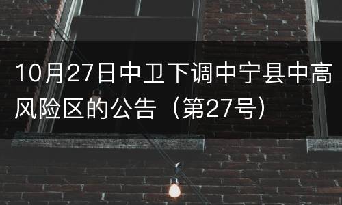 10月27日中卫下调中宁县中高风险区的公告（第27号）