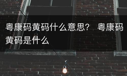 粤康码黄码什么意思？ 粤康码黄码是什么