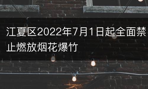 江夏区2022年7月1日起全面禁止燃放烟花爆竹
