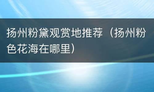 扬州粉黛观赏地推荐（扬州粉色花海在哪里）