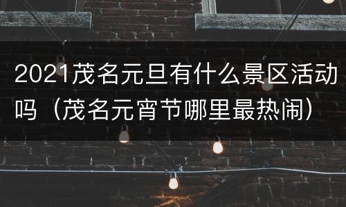 2021茂名元旦有什么景区活动吗（茂名元宵节哪里最热闹）