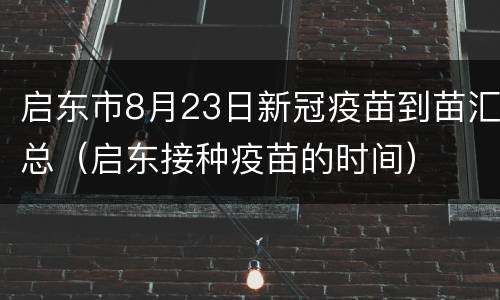 启东市8月23日新冠疫苗到苗汇总（启东接种疫苗的时间）