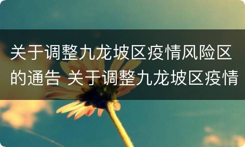 关于调整九龙坡区疫情风险区的通告 关于调整九龙坡区疫情风险区的通告