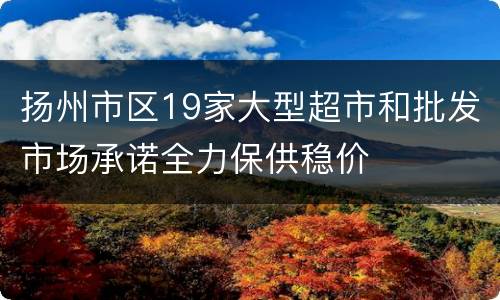 扬州市区19家大型超市和批发市场承诺全力保供稳价