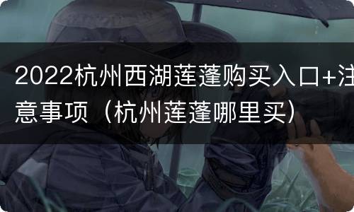 2022杭州西湖莲蓬购买入口+注意事项（杭州莲蓬哪里买）