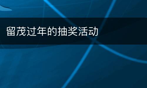留茂过年的抽奖活动