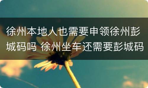 徐州本地人也需要申领徐州彭城码吗 徐州坐车还需要彭城码吗