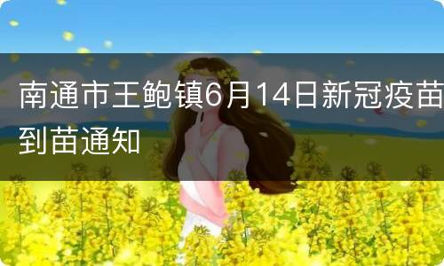南通市王鲍镇6月14日新冠疫苗到苗通知