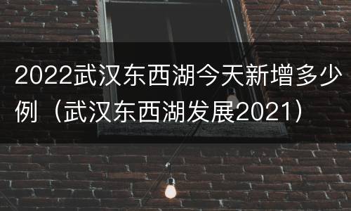 2022武汉东西湖今天新增多少例（武汉东西湖发展2021）