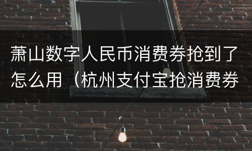 萧山数字人民币消费券抢到了怎么用（杭州支付宝抢消费券时间）