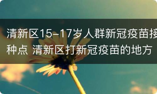 清新区15-17岁人群新冠疫苗接种点 清新区打新冠疫苗的地方