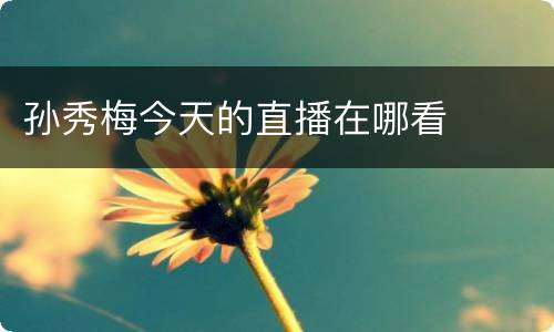 孙秀梅今天的直播在哪看