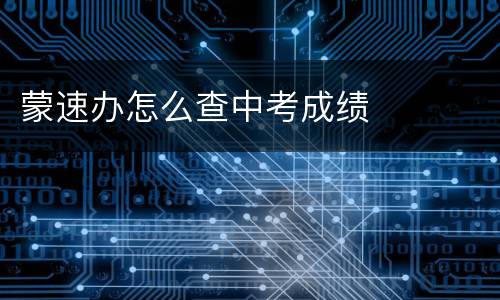 蒙速办怎么查中考成绩