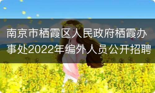 南京市栖霞区人民政府栖霞办事处2022年编外人员公开招聘简章