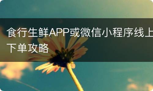 食行生鲜APP或微信小程序线上下单攻略