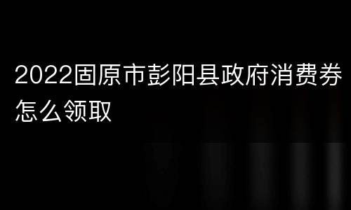 2022固原市彭阳县政府消费券怎么领取