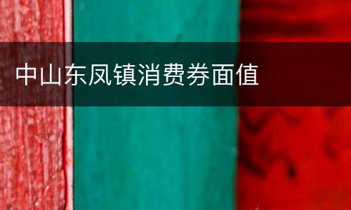 中山东凤镇消费券面值