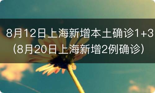 8月12日上海新增本土确诊1+3（8月20日上海新增2例确诊）
