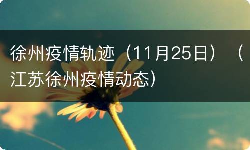 徐州疫情轨迹（11月25日）（江苏徐州疫情动态）
