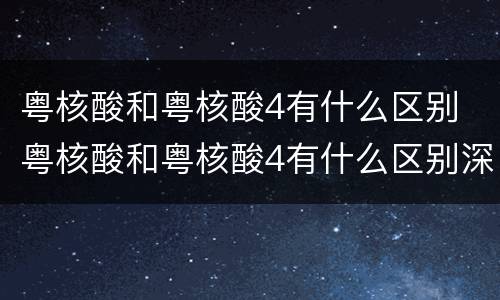 粤核酸和粤核酸4有什么区别 粤核酸和粤核酸4有什么区别深圳