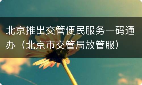 北京推出交管便民服务一码通办（北京市交管局放管服）