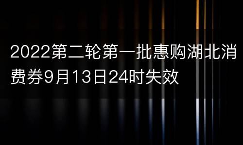 2022第二轮第一批惠购湖北消费券9月13日24时失效